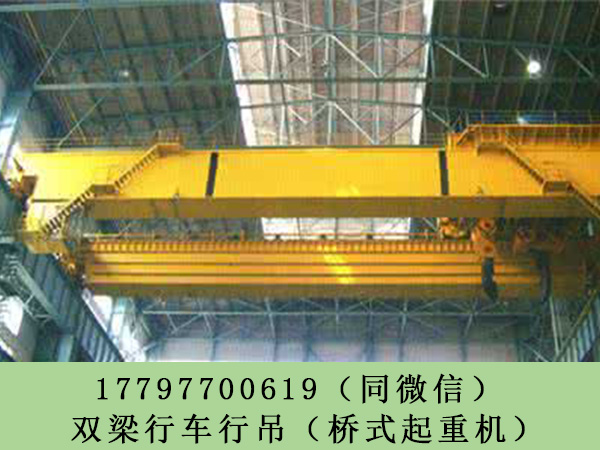 天津双梁桥式起重机厂家 绝缘桥式行车哪里好