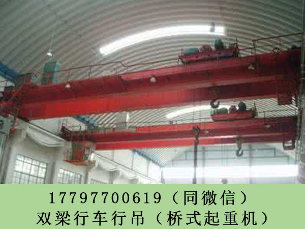 浙江湖州桥式起重机销售厂家LH电动葫芦行吊